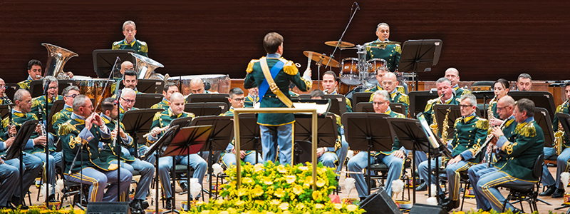 Maestro direttore della Banda Musicale Domanda di partecipazione al concorso, per titoli ed esami, per il reclutamento di un  maestro direttore della banda musicale della guardia di finanza per l'anno 2026.